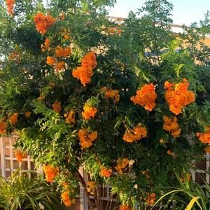 Meet your Posher, Thu